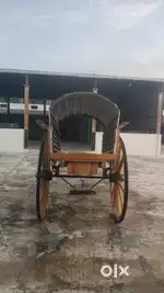 Ambassador Avigo 1800 ISZ MPFI AC, 2025, Petrol