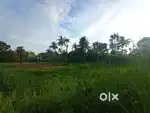 1.17acar  PWD ROAD FRONTAGE ANACHAL N.PARAVUR