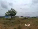 Veera pandi pirivu santhi medu kali AmmAn kovil