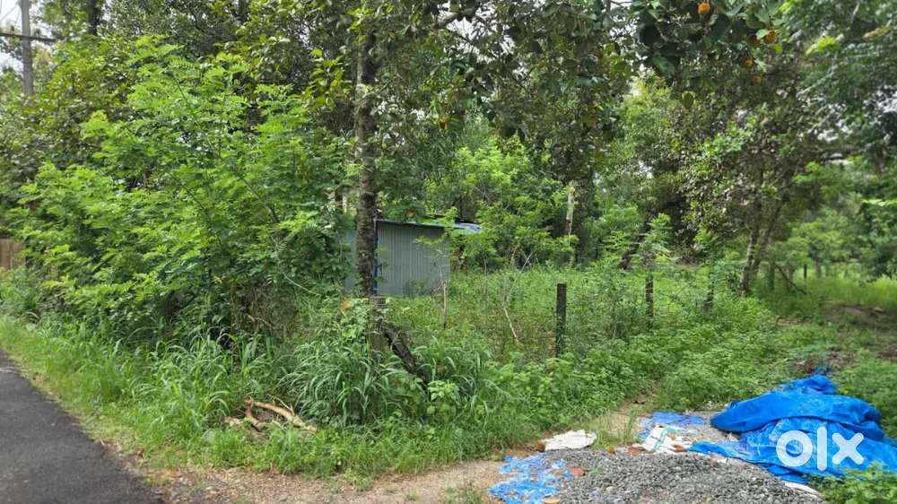 പുത്തമ്പലം പുലരി ജംഗ്ഷൻ 1.60 വിലകുറവേ മെയിൻ റോഡ് സൈഡ് 10 സെന്റ്