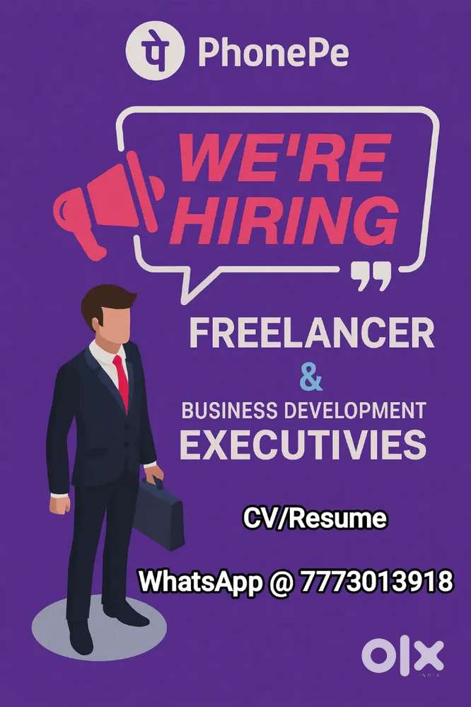 Business Development Executive/FSE/Freelancer Required for PhonePe