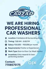 Professional door step car wash