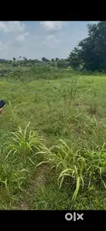 Road side  1 bigha 18 bisa land