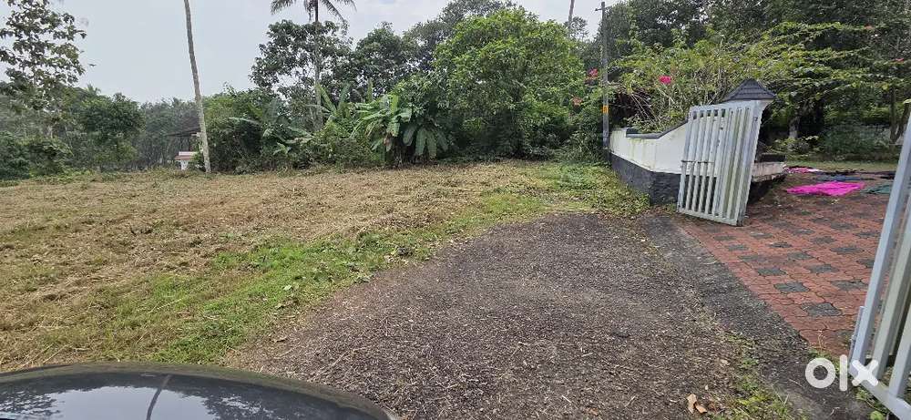 Kumbanad Nellimala house plot for sale 12 cent