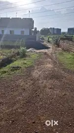 Litigation free land