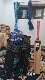 Cricket kit