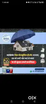 Real estate Agent