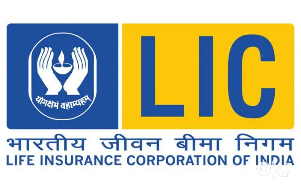 Insurance advisor/agent