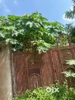 Plot sale in main city