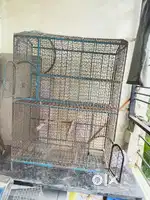 bird house at home