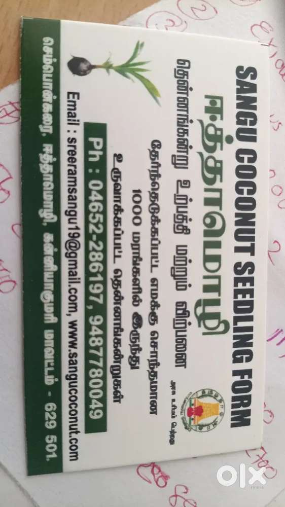 Near eatamozi sangu nursary