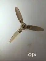 Cream siling fan