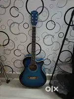 Brand New  Guitar