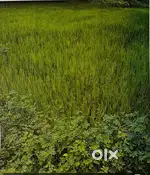 Nagarnar bazar ke pass st kheti jameen hai pani ki koi dikkat nhi hai