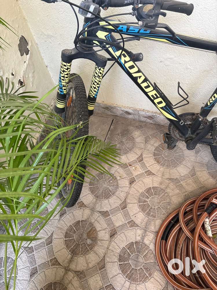 Roadeo bicycle