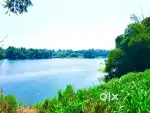 14.5 cent river waterfront land for sale in kanjoor, Airport, Angamaly