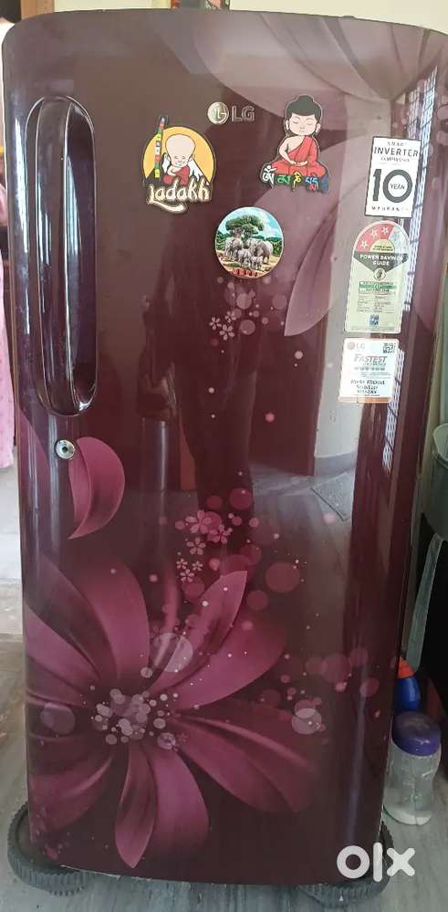LG fridge single door