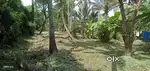 Land for sale near kumbalam railway station