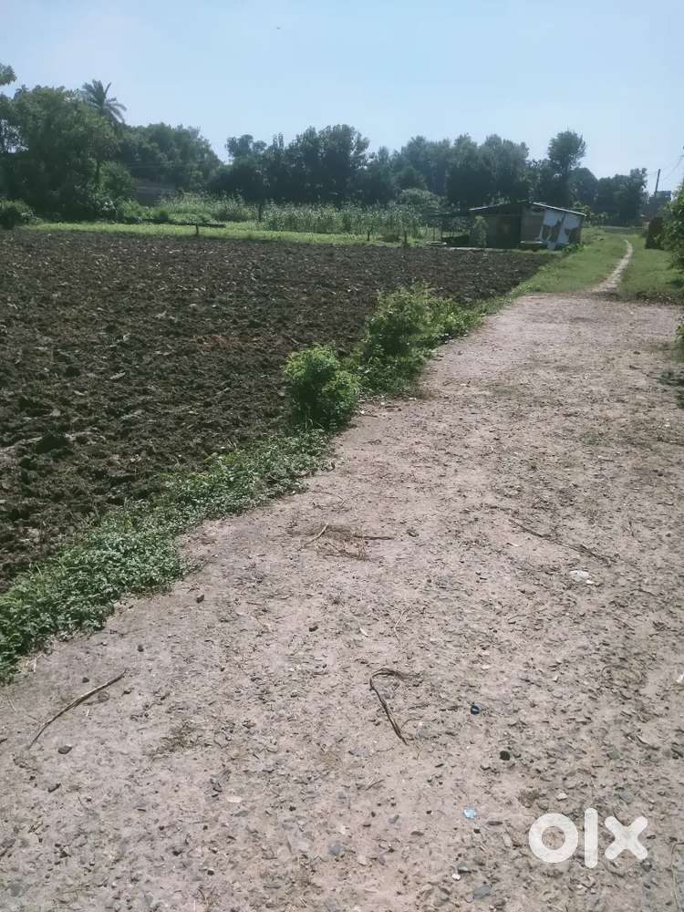 Dumri plot sell