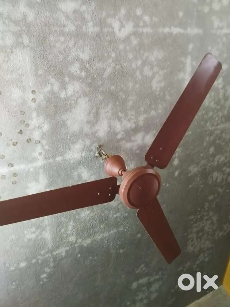 Table fan and silling fan