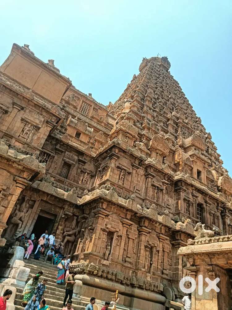 Cooking and cleaning