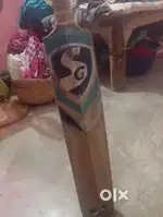Best SG bat
