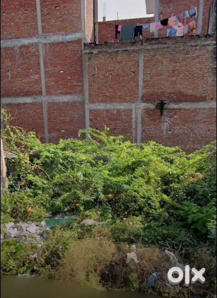 Its front is 3 mtr and breadth is 11 mtr