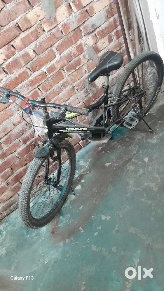 10- 12 year child cycle