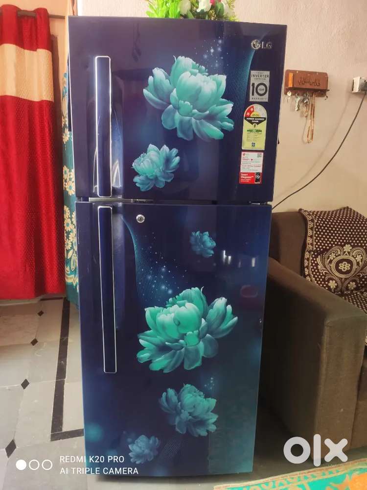 234L Frost Free Double door LG Refrigerator (Blue Charm Colour)