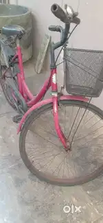 Ladies cycle