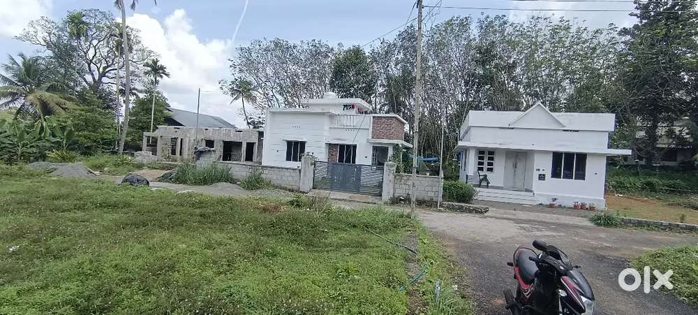 ANGAMALY HOUSE PLOTS 4,5,8, 10 CENT AVAILABLE