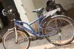 Razorback bycycle