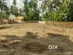 Chakkai karikkakam ( no brockers )