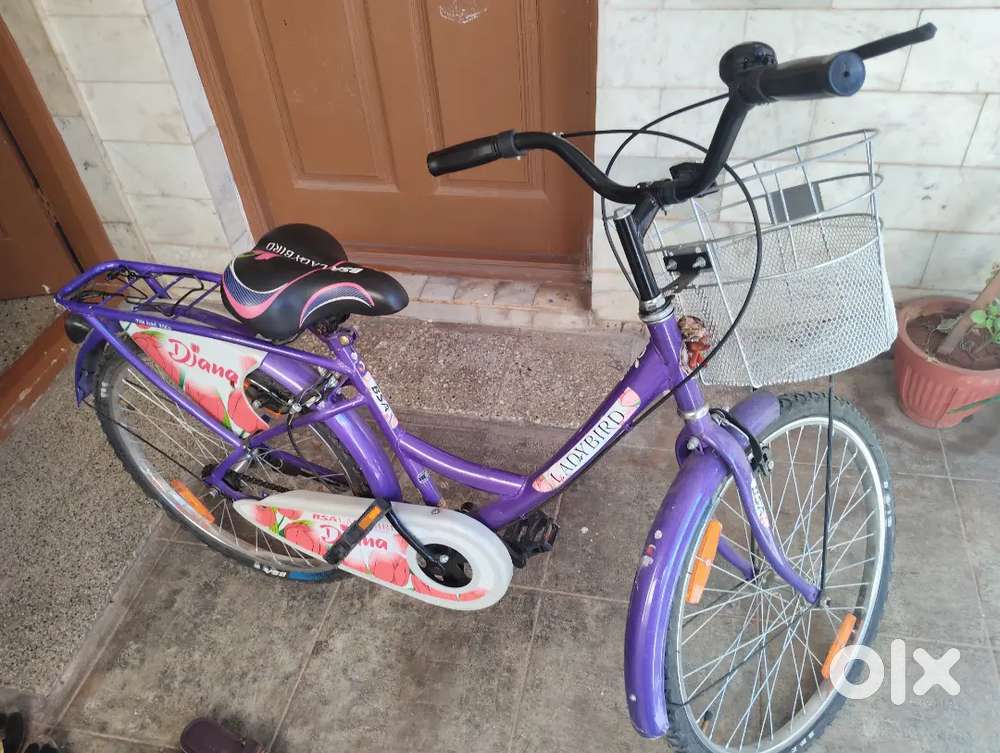 DYANA LADYBIRD CYCLE