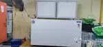 Blue star 391 lts Hard top Freezer