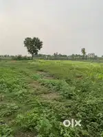 शेतीसोबत घर फ्री