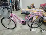 New Brand Cycle