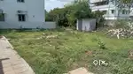 Land for rental for bussiness purpose