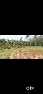 4.5 ഏക്കർ ഫാർമിന്  യോചിച്ച plot Chalakudy-Murigoor പ്രദേശത്ത്
