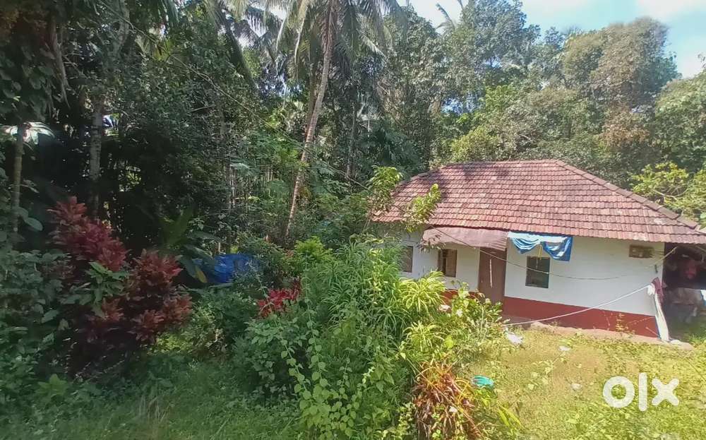 20 cents  land with tils home just grom state highway  2 km sale