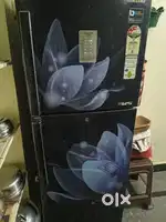 Samsung refrigerator double