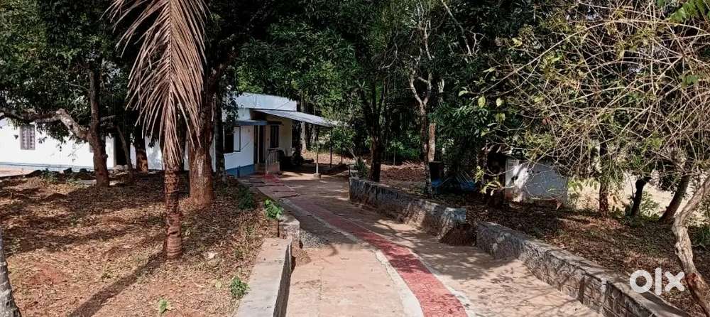 Plot for sale Near Chelakkara