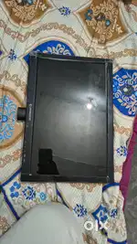 Monitor zebster