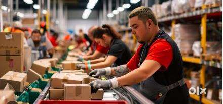 Freshers For Picker & Packer - Noida sec 93