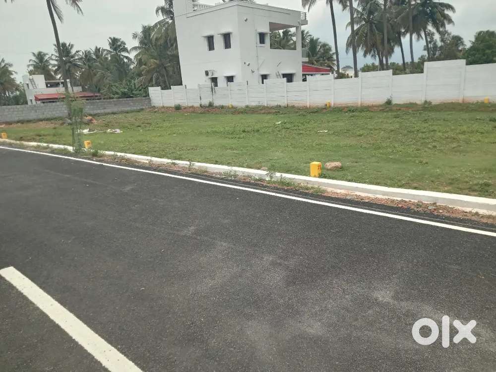 Salem karipatti Nearby low price plots sell