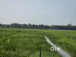 4 katha 14 lessa land for sale at bokhpara