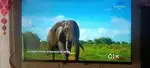 Realme TV 43 No problem good condition
