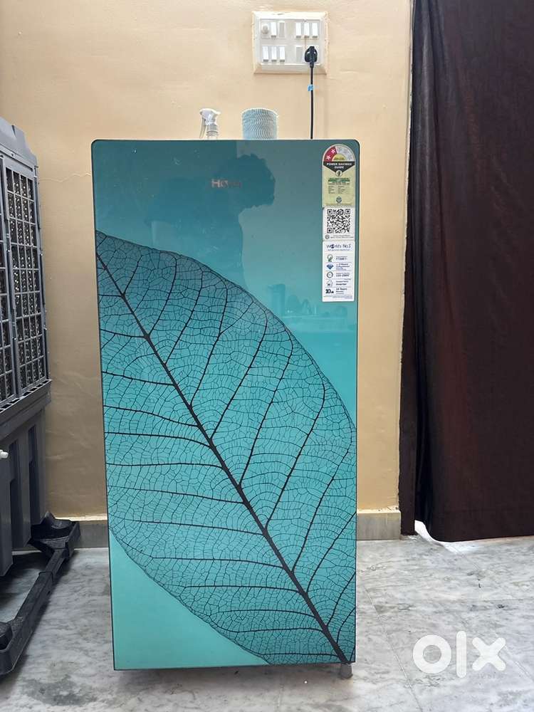 Haier 185 litre