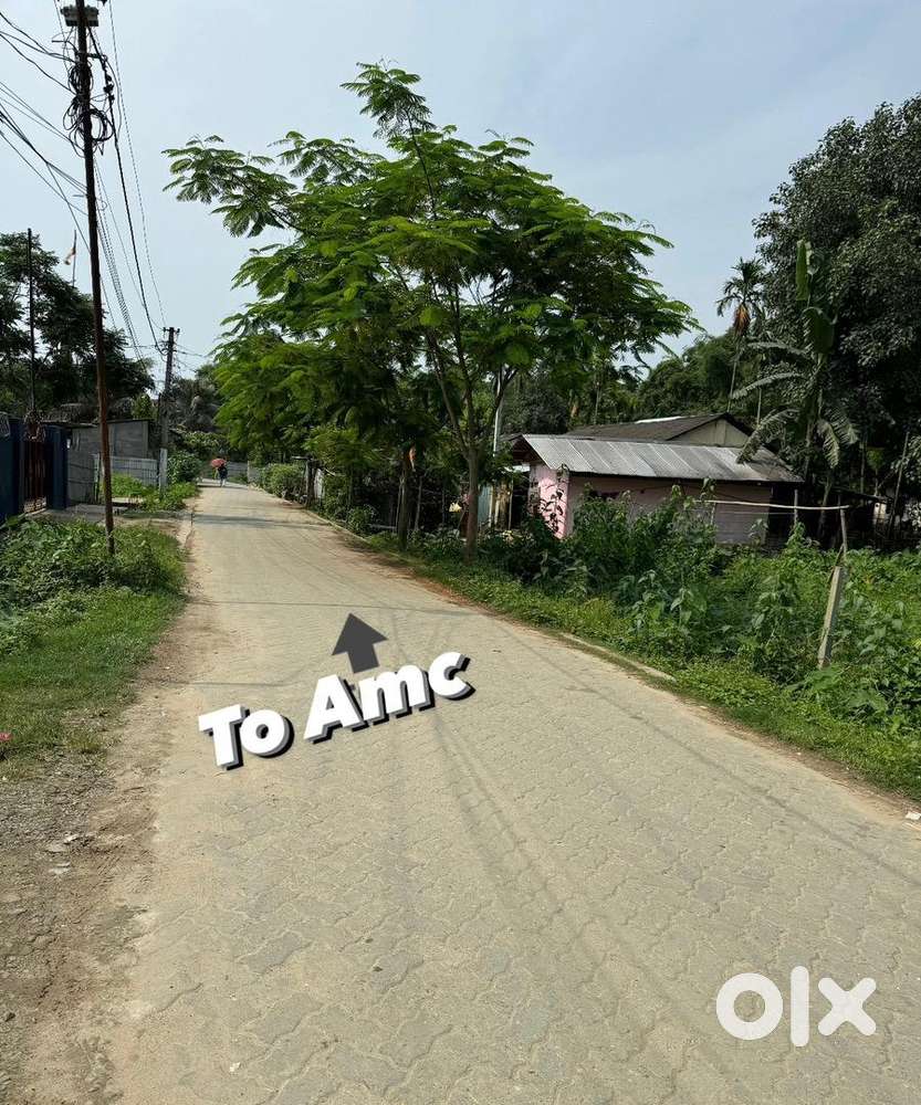Highland road side myadi patta plot for sale in bongal gaon,Dbr