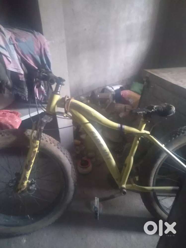 Fat bike for sale